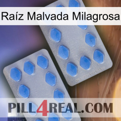 Raíz Malvada Milagrosa 20